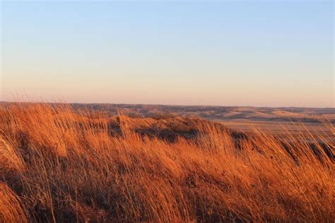 The Importance Of Native Prairie Iowa Natural Heritage Foundation