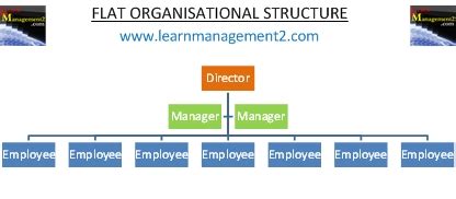 Flat Structure Org Chart