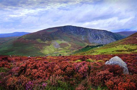 Colorful Carpet Of Wicklow Hills Photograph By Jenny Rainbow Pixels