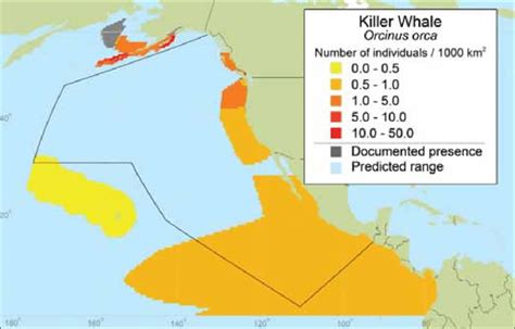 Killer Whale Orcinus Orca Mean Observed Density Kaschner Et Al
