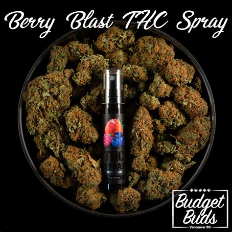 Berry Blast Thc Oral Spray Bluubear 350mg Thc Budget Buds
