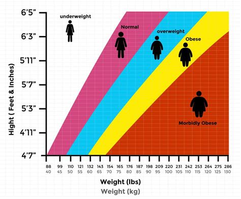Best Bmi Chart Templates For Men And Women Every Last Template Free