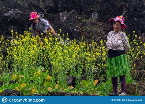 hmong-ethnic-minority-agricultural-worker-editorial-stock-photo-image-of-field,-agriculture