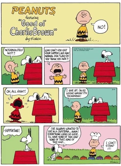 Pin De Cynthia Bobbett En Charlie Brown And Snoopy Quotes En 2020 Tiras Cómica Snoopy De Los