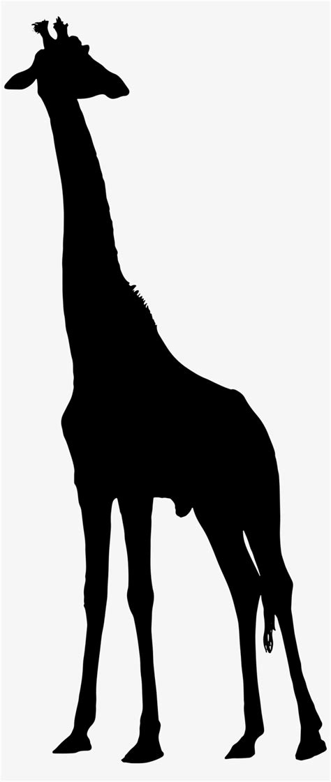 Download giraffe silhouette clipart free 10 free Cliparts | Download images on Clipground 2021