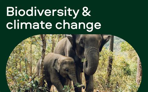 Tackling The Climate And Biodiversity Crises With Nature Based Solutions