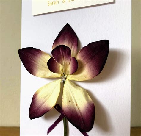 Personalised Orchid Anniversary Card Luxury Handmade 28th Etsy Uk
