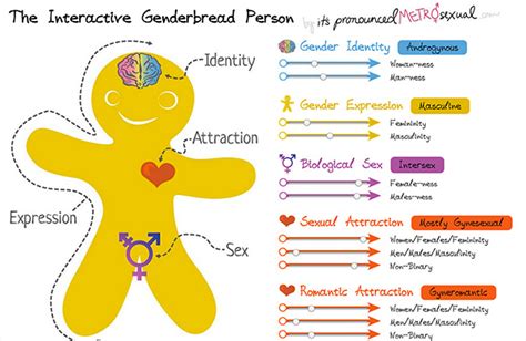 The Genderbread Person It S Pronounced Metrosexual Li Linguas