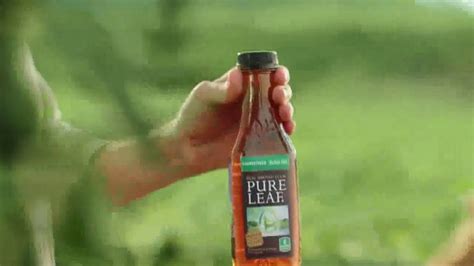 Pure Leaf Unsweetened Black Tea Tv Commercial Fresh Picked Ispottv