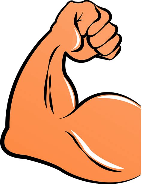 Muscles Png Clipart Png Mart Images