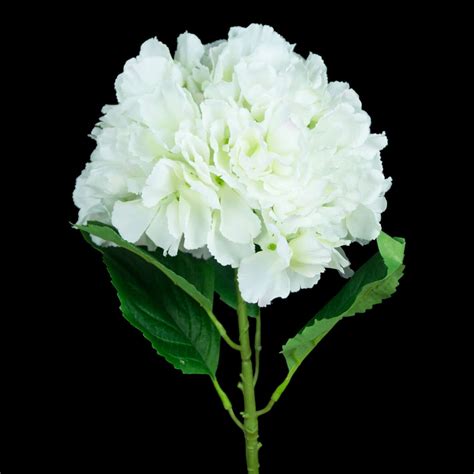 Whether you need silk flowers for weddings or an artificial flower to complete your table centerpiece, you'll find everything buy bulk fake flowers for any home, business or occasion at silks are forever! White Artificial Hydrangea - Realistic Wholesale ...