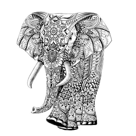Pattern Elephant Drawing At Getdrawings Free Download