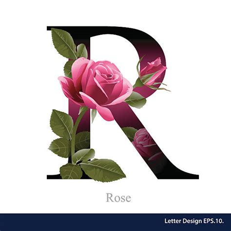 Best Silhouette Of A Fancy Letter R Illustrations Royalty Free Vector
