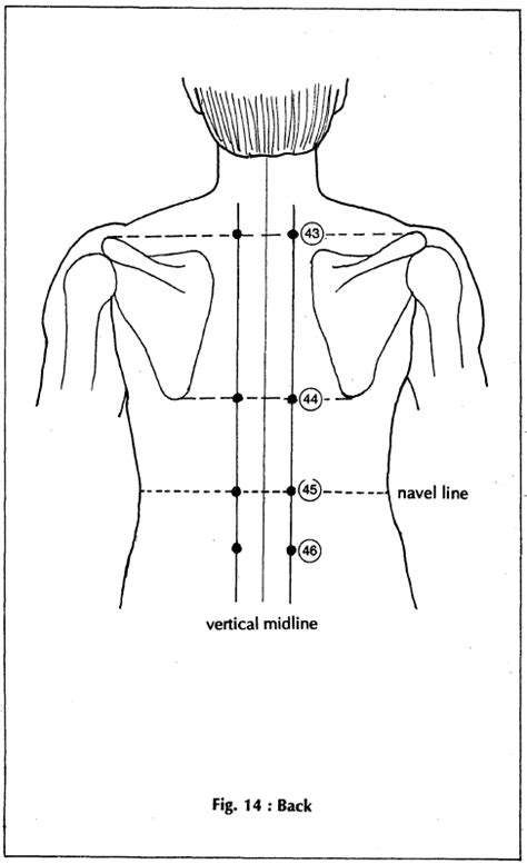 Acupressure Points For Kidney Disorders Learn Self Healing Techniques