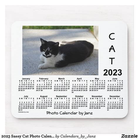 2023 Sassy Cat Photo Calendar By Janz Mouse Pad Sassy