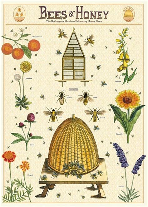Bee Poster Plant These Save The Bees Print Living Room Wall Art