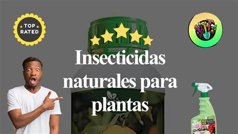 Top Insecticidas Naturales Para Plantas Youtube