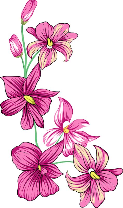 Hd Flowers Flowers Nature Abstract Flowers Draw Flowers Floral