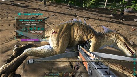 Ark Survival Evolved Taming Level 2 13 Thaigameguide