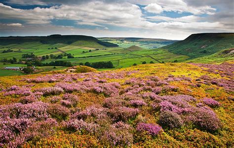 The Infinite Wonders Of The North York Moors National Park Country Life