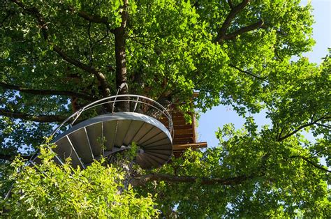 Attaching a series of these steps, along with an accompanying handrail, creates a spiral staircase. Spiral staircase provides passage to Halle Treehouse by ...