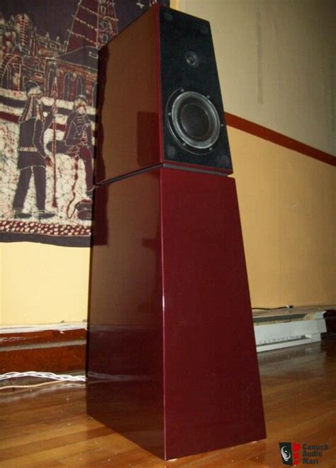 Oracle Mentor Studio (Verity audio) Photo #123705 - Canuck Audio Mart