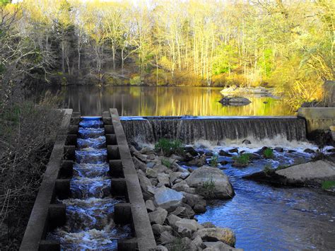 On the contrary, building diy backyard ponds and waterfalls isn't that complicated. Free Stock Photo 3805-Pond With Waterfalls | freeimageslive