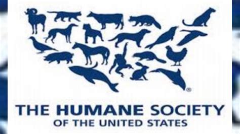 Humane Society of the US responds to attack ads | WHAS11.com