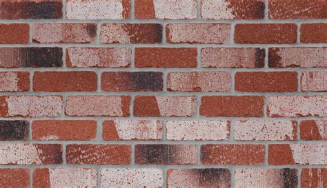 Treasury Red Tumbled Bricks Extruded 230x110x76mm Red In Yard