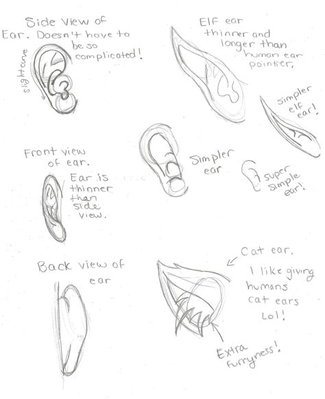 Ear Drawing Reference At Getdrawings Free Download