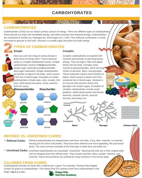 What Are Carbohydrates Infographic Etsy