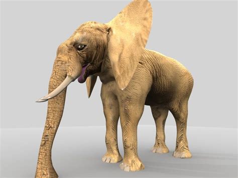African Elephant 3d Model 9 Max Xsi Ma Blend Obj Free3d