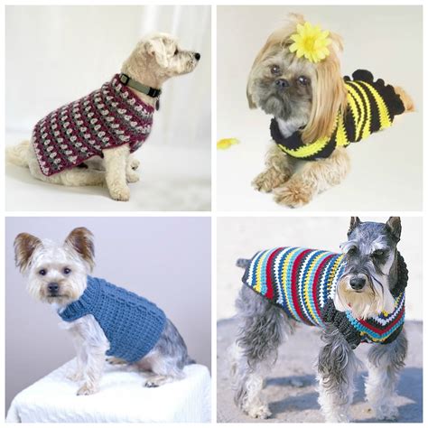 Beginner Crochet Dog Sweater