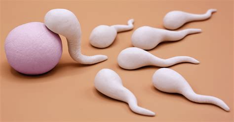 Other issues with artificial insemination. IUI (Intrauterine Insemination): Success Rates, Risks ...
