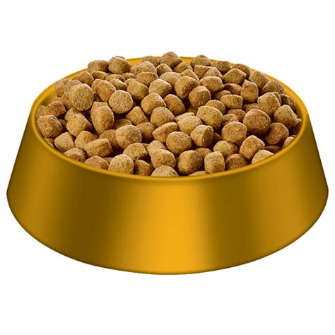 Dog Food Golden Bowl Transparent Png Png Play