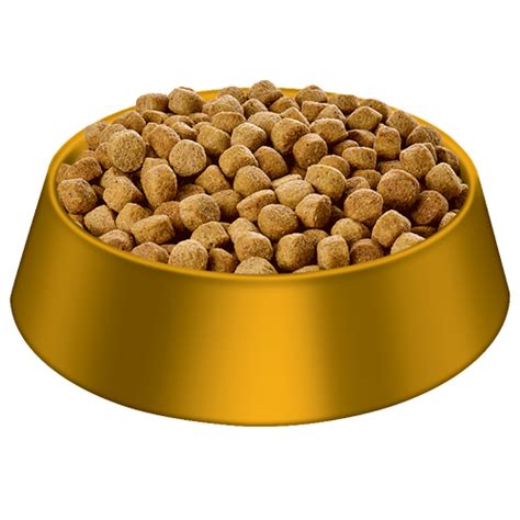 Dog Food Golden Bowl Transparent PNG | PNG Play