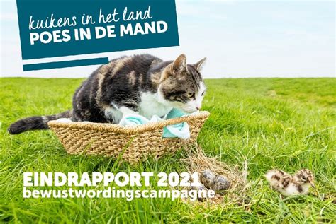 Resultaten Poes In De Mand 2021 Elan Zuidoost Friesland