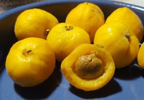 Frutas Raras Do Brasil