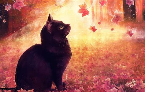 Autumn Cat Wallpaper