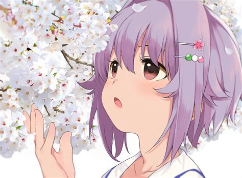 Blush Cherry Blossoms Close Flowers Idolmaster Idolmaster Cinderella