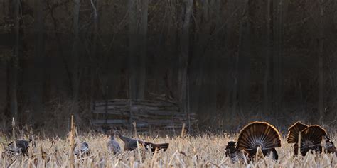 Wisconsin Turkey Zones - Information, Maps and More | onX