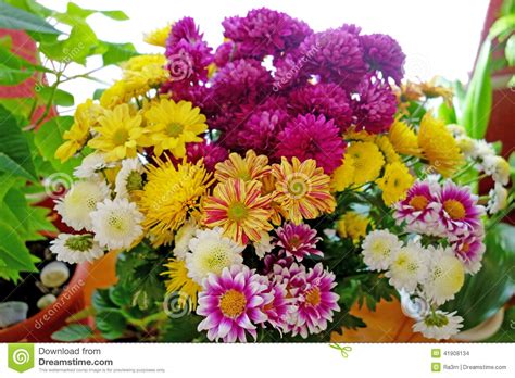 Large Bouquet Of Beautiful Flowers Stock Photo Image Of