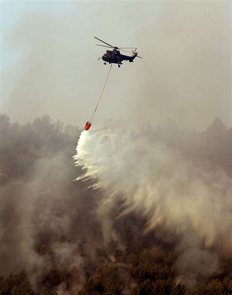 SFGate: Day in Pictures