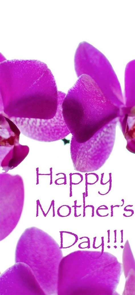 For those who have lost a parent, mother's day can be a hard day. My Beautiful Mom's Favorite Flower - Happy Mom's Day to ...