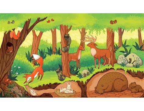 Forest Ecosystem Print Childrens Room Artwork Etsy Israel