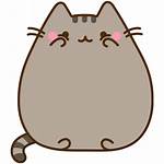 Pusheen Cat Draw Clipart Stickers Transparent Kitty