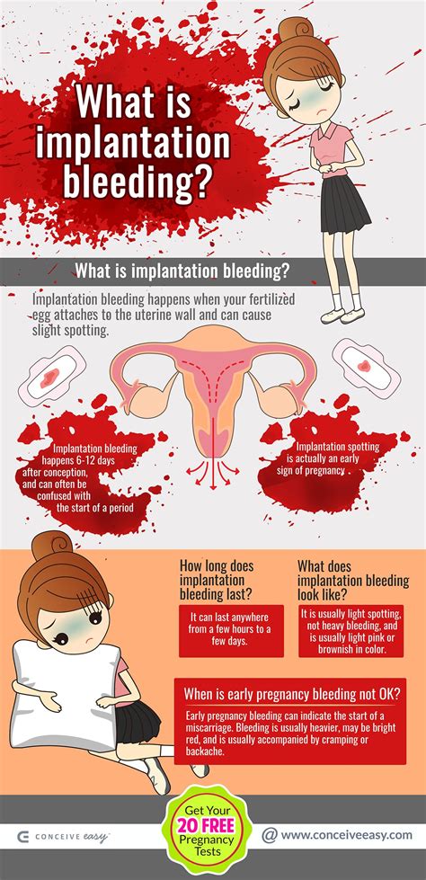 Implantation Bleeding Or Early Pregnancy Bleeding Infographic By Conceive Easy Medium