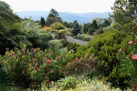 Desktop Hintergrundbilder Australien Australian Botanic Gardens