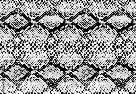 Snake Skin Pattern Texture Repeating Seamless Monochrome Black And White