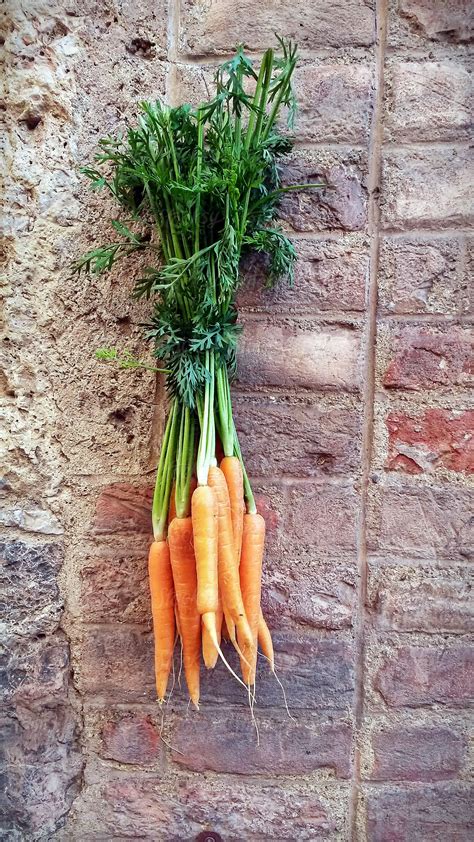 Bunch Of Fresh Carrot By Stocksy Contributor Federica Di Marcello